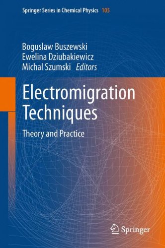 Electromigration Techniques: Theory and Practice (Springer Series in Chemical Physics)