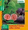 Exotische Früchte