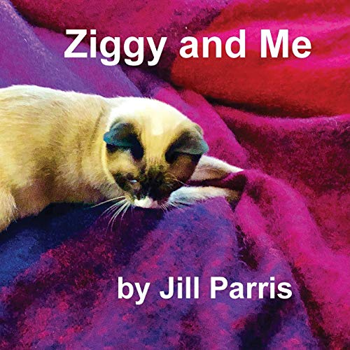 Ziggy and Me (978-1-64633-840-5)