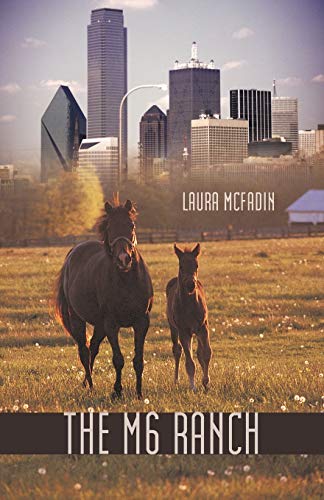 The M 6 Ranch