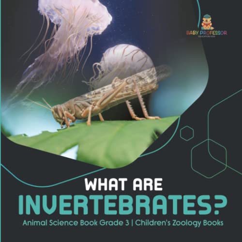 What Are Invertebrates? Animal Science Book Grade 3 Children's Zoology Books