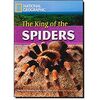 National Geographic: The King of the Spiders