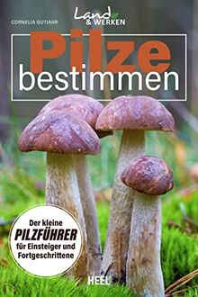 Pilze bestimmen - Der kleine Pilzführer für Einsteiger und Fortgeschrittene: Land & Werken - Die Reihe für Nachhaltigkeit und Selbstversorgung von Gutjahr, Cornelia | Buch | Zustand gut