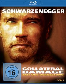Collateral Damage [Blu-ray] von Davis, Andrew | DVD | Zustand sehr gut