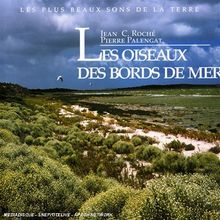 Les Oiseaux Des Bords De Mer