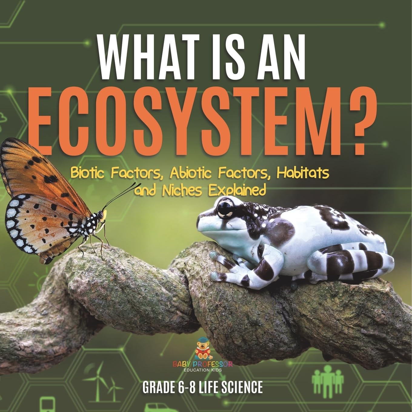 What is an Ecosystem? Biotic Factors, Abiotic Factors, Habitats and Niches Explained Grade 6-8 Life Science