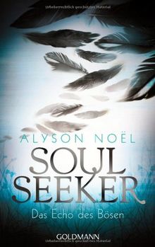 Das Echo des Bösen: Soul Seeker 2 - Roman