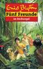 Fünf Freunde im Dschungel: Band 35: Neue Abenteuer