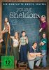 Young Sheldon: Die komplette 2. Staffel [2 DVDs]