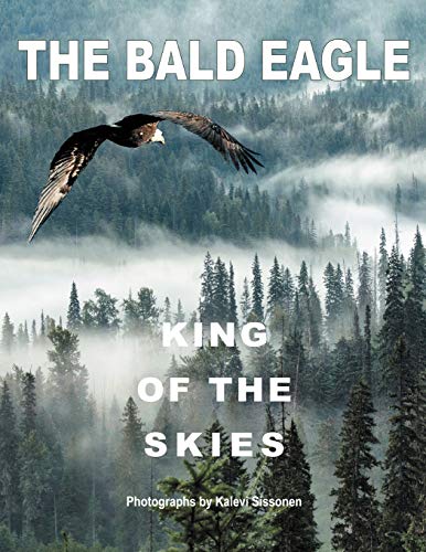 THE BALD EAGLE: KING OF THE SKIES