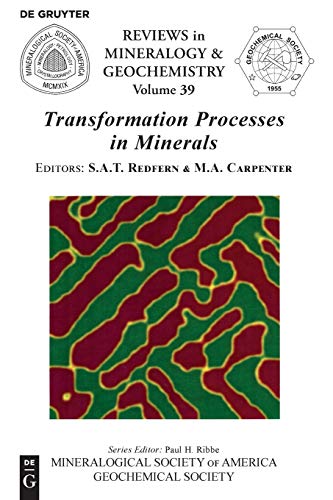 Transformation Processes in Minerals (Reviews in Mineralogy & Geochemistry, Band 39)