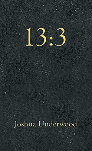 13: 3