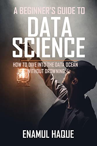 A Beginner's Guide To DATA SCIENCE: How to dive into the data ocean without drowning