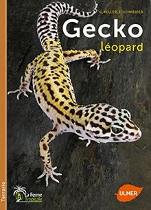 Gecko léopard