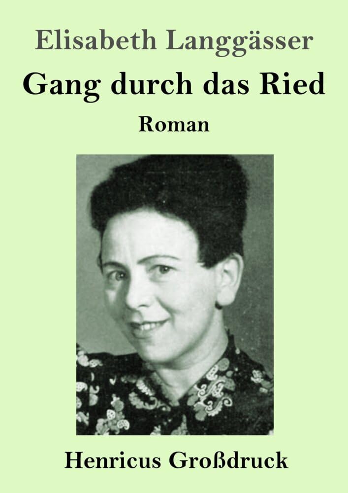 Gang durch das Ried (Großdruck): Roman