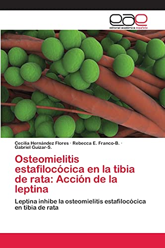 Osteomielitis estafilocócica en la tibia de rata: Acción de la leptina: Leptina inhibe la osteomielitis estafilocócica en tibia de rata
