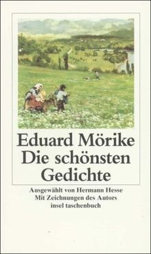 Die schönsten Gedichte (insel taschenbuch)