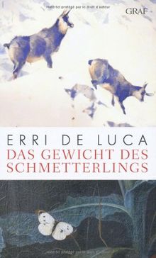 Das Gewicht des Schmetterlings: Roman