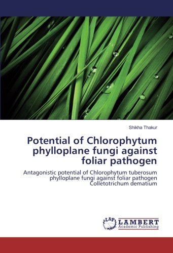 Potential of Chlorophytum phylloplane fungi against foliar pathogen: Antagonistic potential of Chlorophytum tuberosum phylloplane fungi against foliar pathogen Colletotrichum dematium