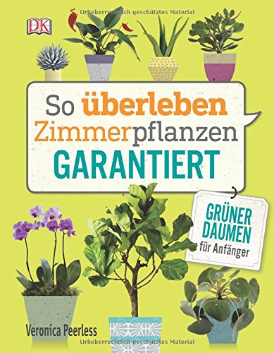 blumenwiese saatgut nabu 500 qm Blumenwiese Saatgut aus 50 ein- und mehrjährigen Arten Großpack –  Gardenox-Natur