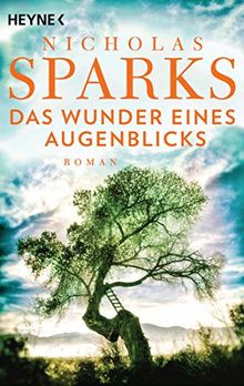 Das Wunder eines Augenblicks: Roman