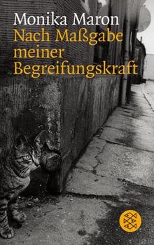 Nach Maßgabe meiner Begreifungskraft: Artikel und Essays