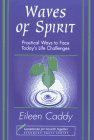 Waves of Spirit: Practical Ways to Face Today's Life Challenges: Practical Ways of Facing Today's Life Challenges