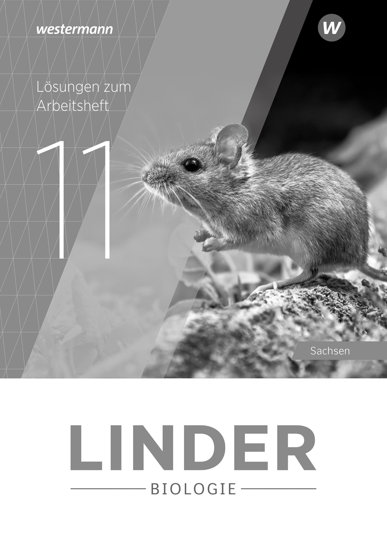 LINDER Biologie SII - Ausgabe 2025 für Sachsen: Lösungen zum Arbeitsheft 11: Ausgabe 2025 - Sekundarstufe 2