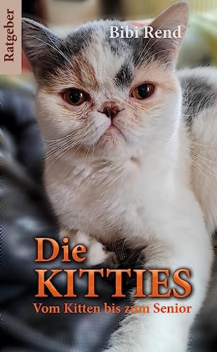 Die Kitties: Vom Kitten zum Senior - Alles über Katzen