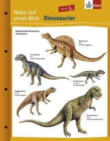 Natur auf einen Blick: Auf einen Blick. Dinosaurier. (Lernmaterialien)