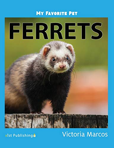 My Favorite Pet: Ferrets (My Favorite Pets)