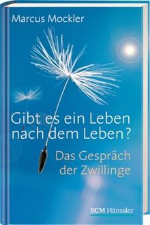 Gibt es ein Leben nach dem Leben?: Das Gespräch der Zwillinge