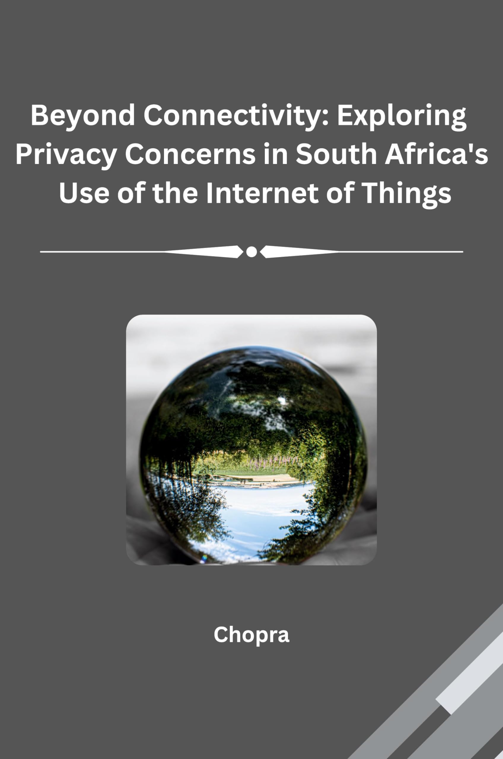 Beyond Connectivity: Exploring Privacy Concerns in South Africa's Use of the Internet of Things: DE