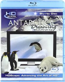 Antarctica Dreaming - Wildlife On Ice [Blu-ray] [2005] [UK Import]