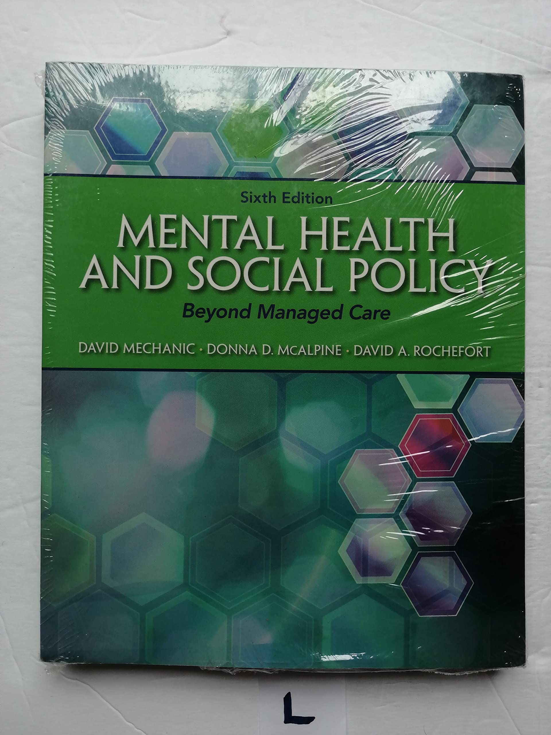 Mental Health and Social Policy: Beyond Managed Care