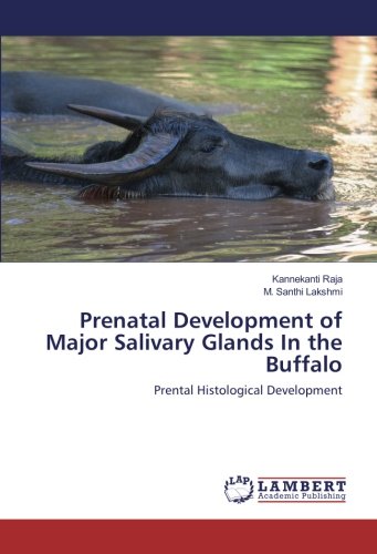 Prenatal Development of Major Salivary Glands In the Buffalo: Prental Histological Development