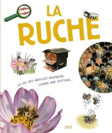 La ruche : la vie des abeilles racontée comme une histoire...