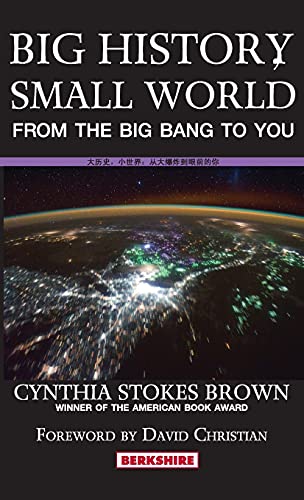 Big History, Small World: From the Big Bang to You