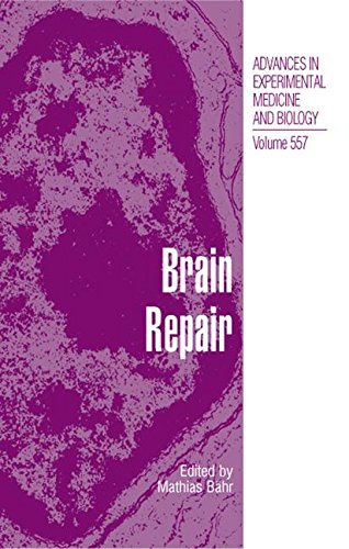 Brain Repair (Advances in Experimental Medicine and Biology)