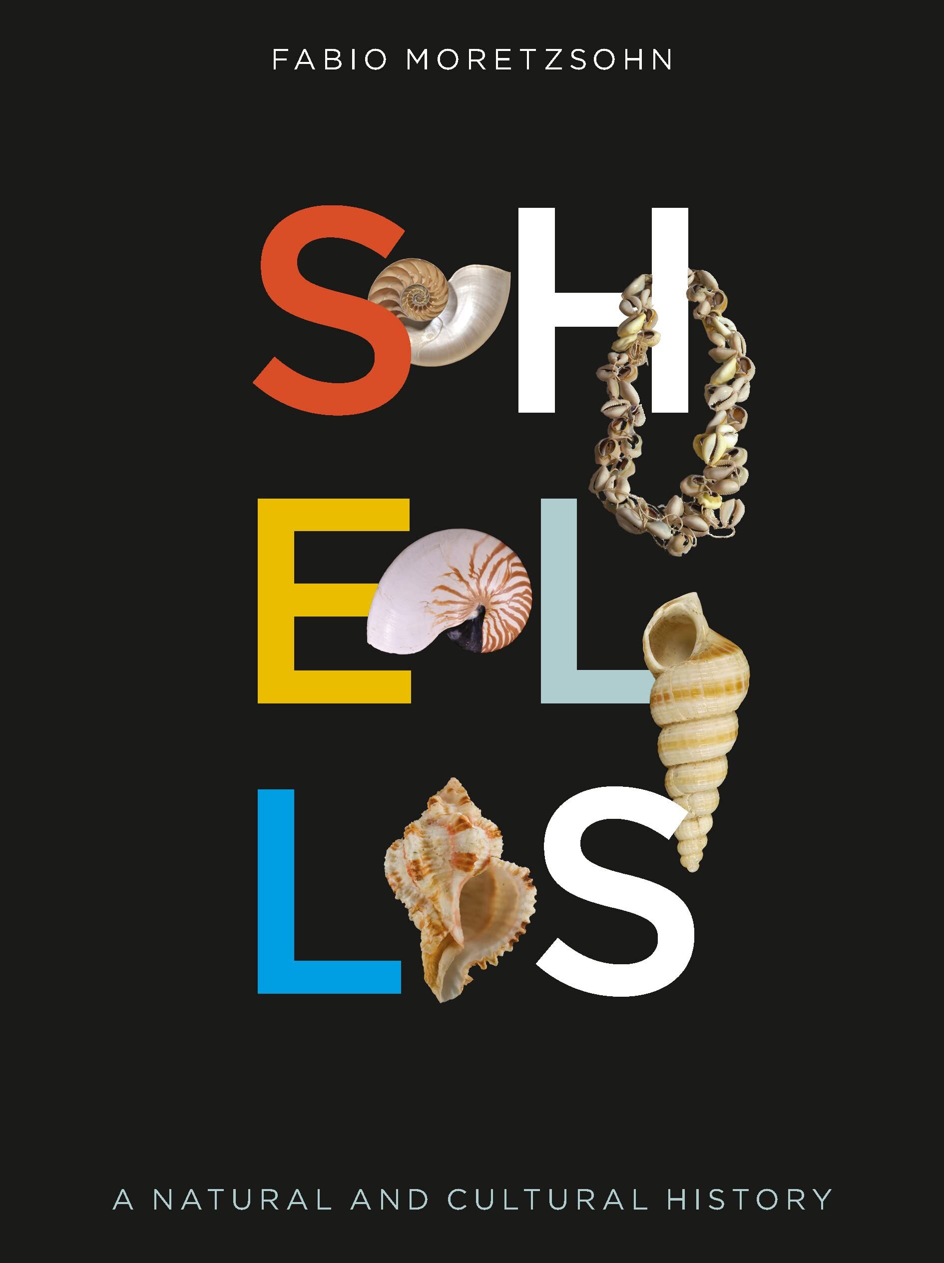 Shells - Fabio Moretzsohn Gebunden