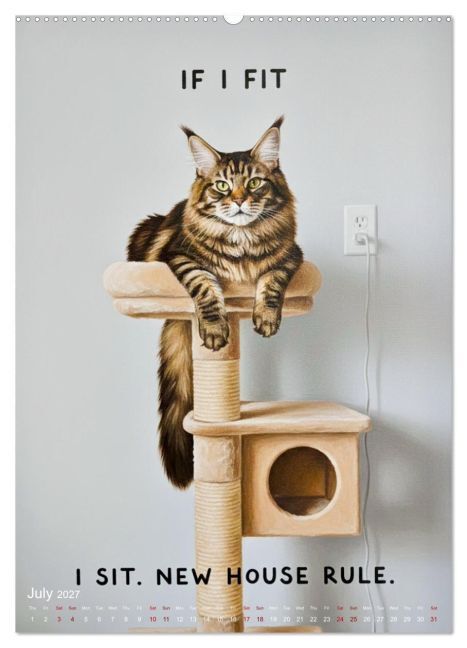 CATitude A YEAR OF CAT LIFE (High Quality Premium Wall Calendar 2027 DIN A2 portrait),CALVENDO 12 Month Wall Calendar