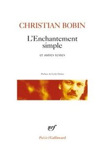 L'enchantement simple : et autres textes