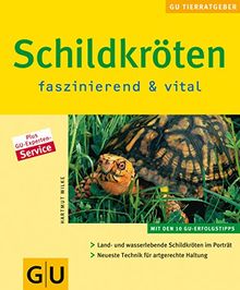 Schildkröten: faszinierend und vital