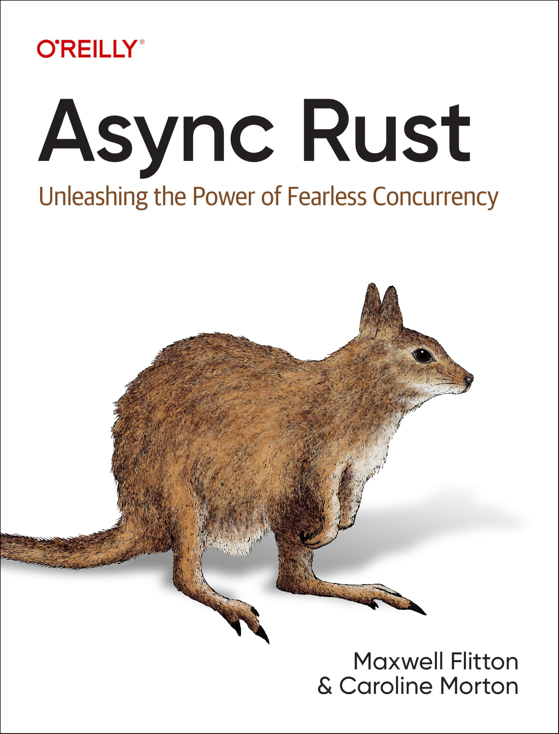 Maxwell Flitton Async Rust, Unleashing The Power Of Fearless Concurrency