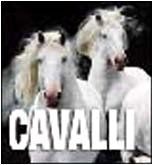 Cavalli