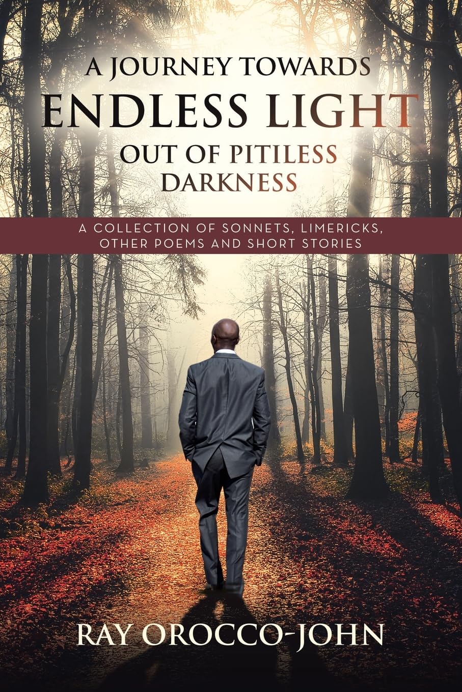 A Journey Towards Endless Light Out Of Pitiless Darkness: A Collection of Sonnets, Limericks, Other Poems and Short Stories