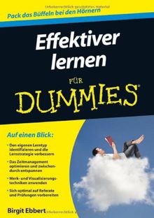 Effektiver lernen für Dummies (Fur Dummies)