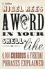A Word in Your Shell-Like: 6,000 Curious & Everyday Phrases Explained: 6,000 Curious and Everyday Phrases Explained
