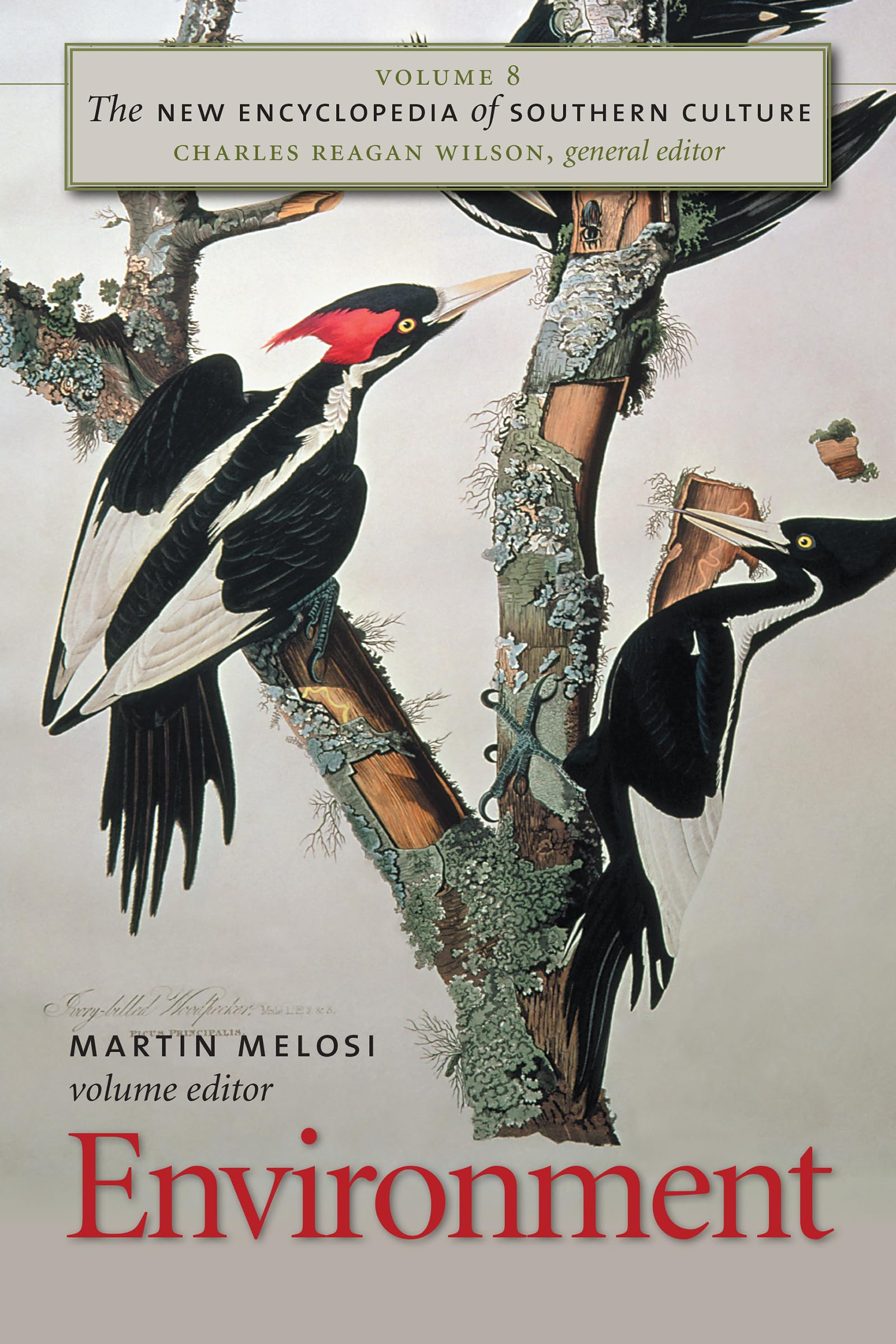 The New Encyclopedia of Southern Culture: Volume 8: Environment (New Encyclopedia of Southern Culture, 8, Band 8)