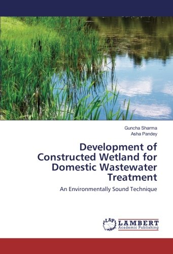 Development of Constructed Wetland for Domestic Wastewater Treatment: An Environmentally Sound Technique